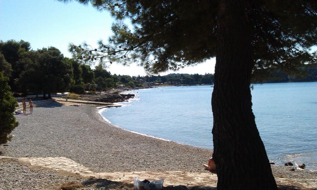 Apartments Kump Rovinj Bagian luar foto